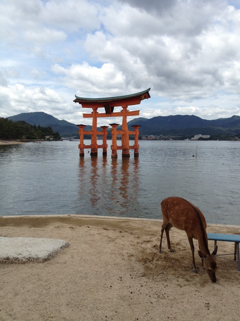 Deer Standing Peacefully with Torii Gate in the Background