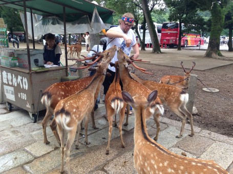 Ben feeding the deer at Todaiji Temple
