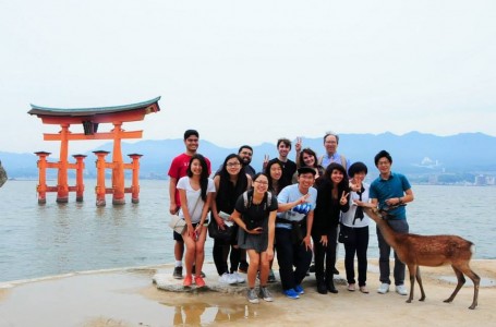Our class and a deer on Miyajima in front of its famous Tori gate
