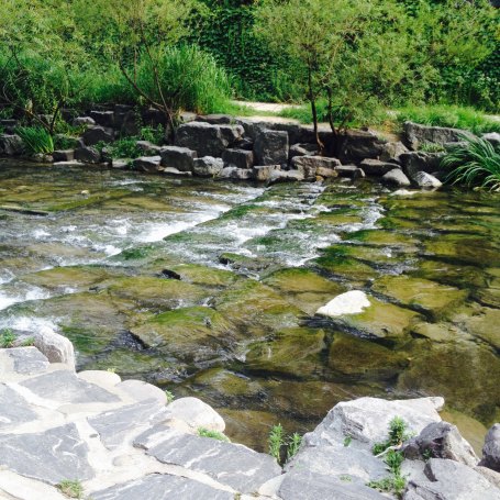 Cheonggyecheon is so clean now! You can see the bottom of the stream easily, sometimes you can even see fish!