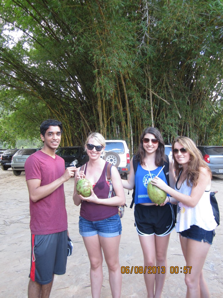Lucy, second from left, accompanied by Rocky, Jodie and Gracie sip fresh coconut water.