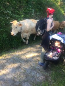 Cows on the Camino. A pilgrim pushes her 2 year old along the path.