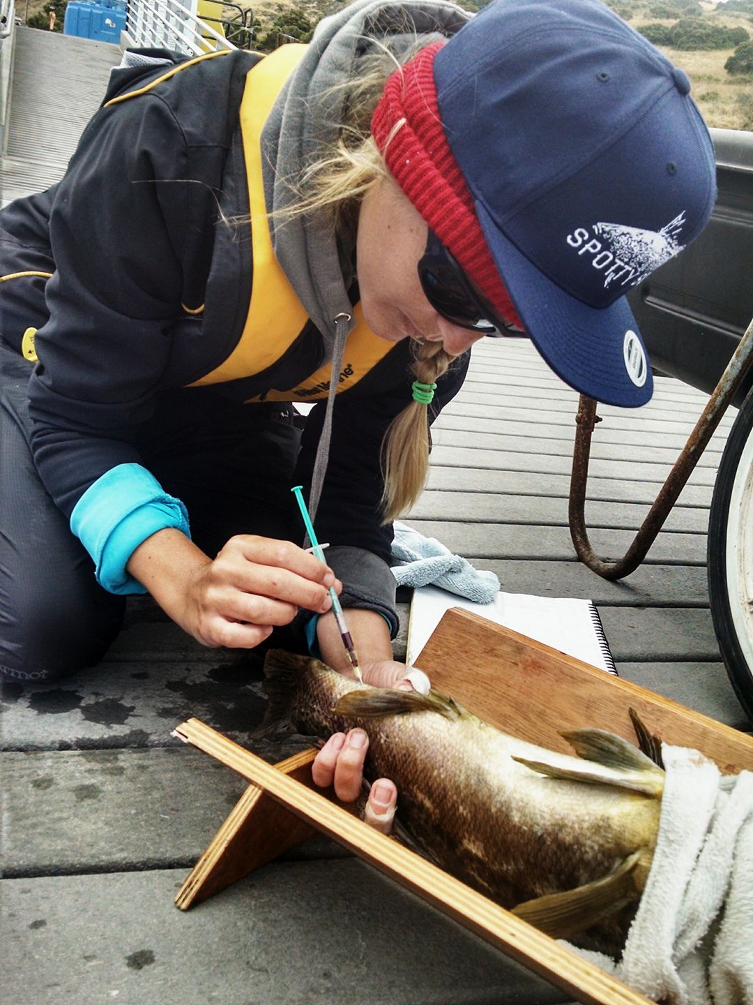 Hooked' on the Art of Fishing  Wrigley Institute Student Research Blog