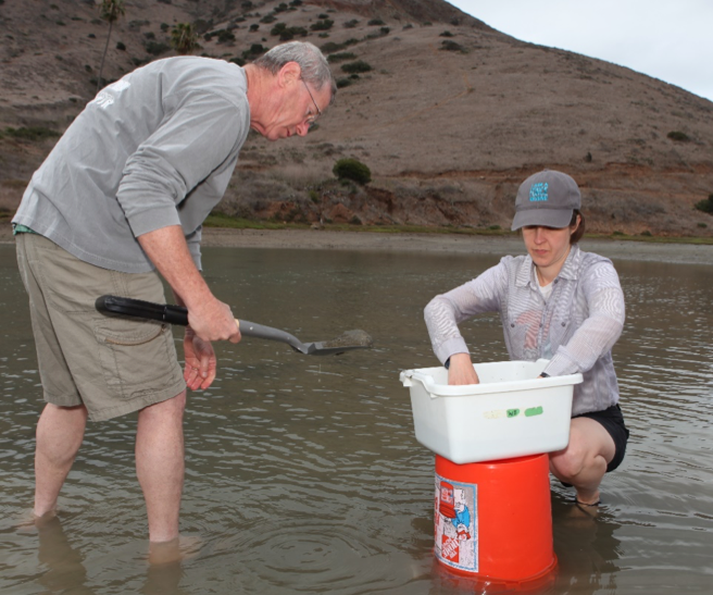 My advisor, Dr. Will Berelson, and I collecting sand from Cat Harbor, three miles from the Wrigley Institute on Catalina Island.