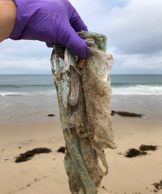 These are some plastic pollutants collected by the Fieser Group at Hermosa Beach through the Heal the Bay: Adopt–A–Beach Initiative. 