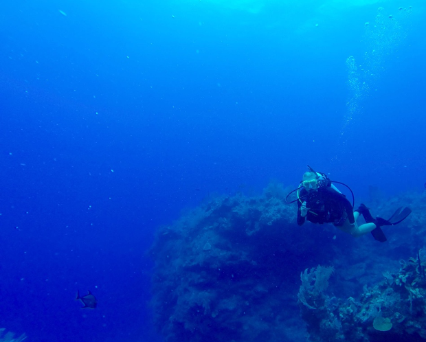 Figure 2. Scientific diving in the Turks and Caicos Islands for the first time during my undergraduate study abroad program with The School for Field Studies. Hopefully more of this at Catalina in the future!