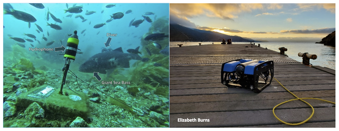 Figure 2: Left: Hydrophone placed at sample sight in 2014 – 2015. Right: Photo of Bruce on the dock at Wrigley, taken by Elizabeth Burns. 