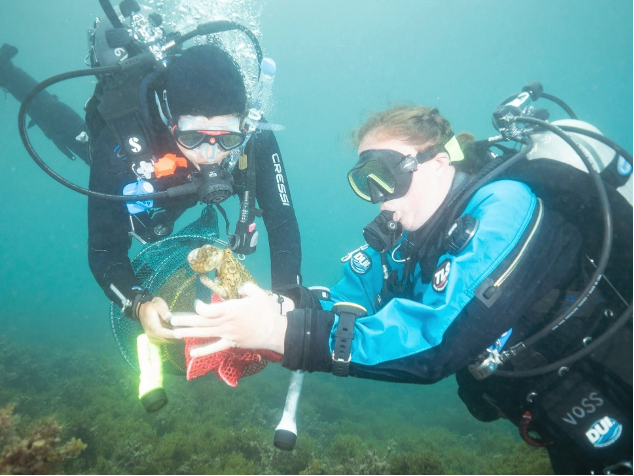 Niki (left) and Kelley (right) release a two-spotted octopus at 4th of July Cove