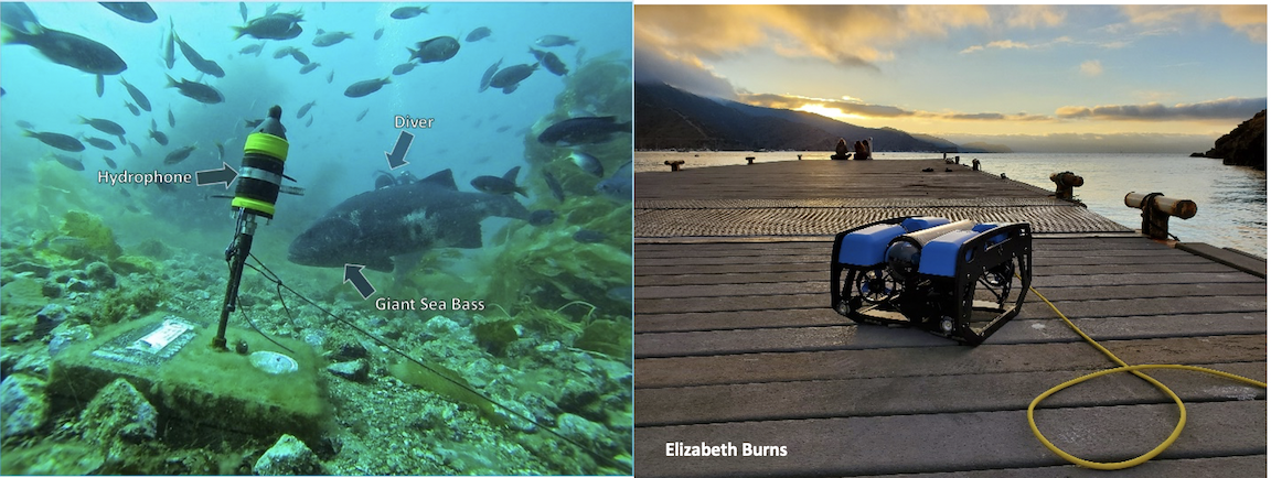 Left: Hydrophone placed at sample sight in 2014 – 2015. Right: Photo of Bruce on the dock at Wrigley, taken by Elizabeth Burns.