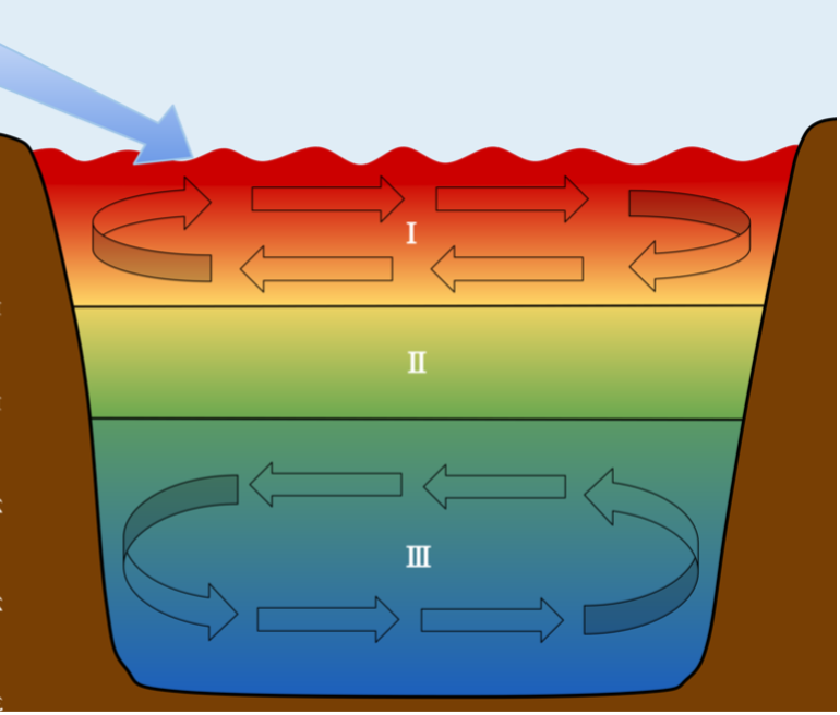 As the upper layer of the ocean warms, stratification increases while circulation, including input of new nutrients, decreases