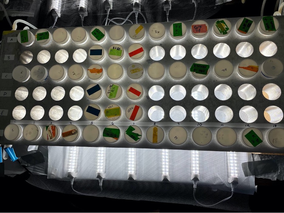 An overhead shot at one of the thermal blocks from my project in the lab. Cultures (samples identified by colorful labels) were exposed to increasing levels of heat and light. We are currently expanding the project to two thermal blocks, both of which will now feature cultures that have been treated with varying levels of nitrogen and phosphorus. 
